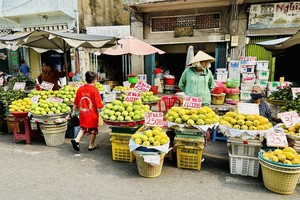 和禄沙芒果价格近期大幅下跌。