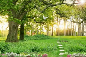 （示意图：互联网）