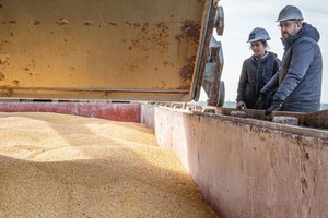 联合检查组在黑海倡议下开展工作。（图：联合国）