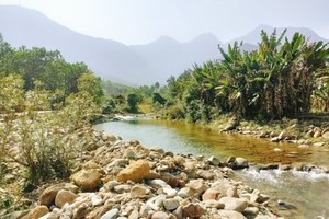 （示意图：互联网）