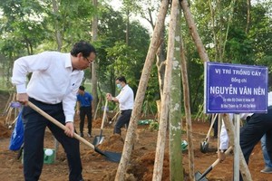 市委书记阮文年参加植树活动。（图：市党部新闻网）