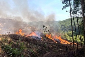 此前发生在广治省的一场森林大火。（示意图：越通社）