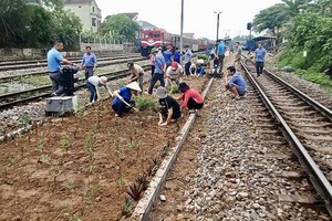 铁路部门干部、人员与团员、退伍军人在广平省铁道沿线种花。
