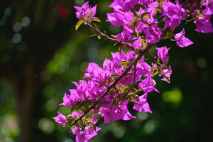 （示意图：互联网）