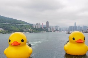 相隔 10 年巨型黄鸭再现身