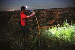 （示意图：互联网）