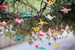 （示意图：互联网）