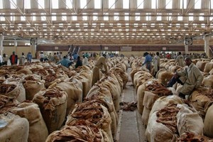 加工好的烟草堆积在马拉维的一个仓库里。（图：联合国）