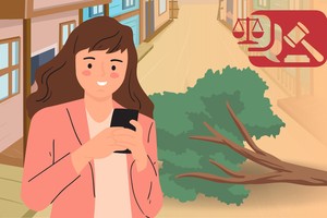 邻居的树倒在我家的院子里，但他们拒绝处理。