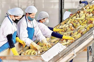 《自由贸易协定》合作扩大