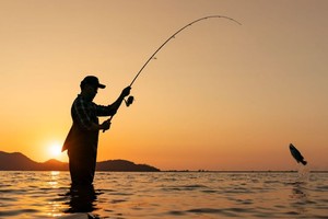 （示意图：互联网）