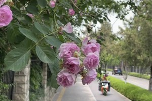 （示意图：互联网）