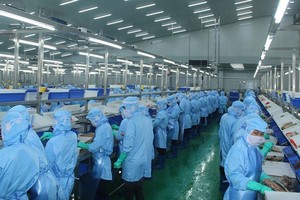 为水产品出口活动纾困解难