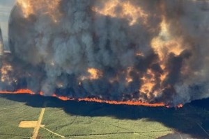 在不列颠哥伦比亚省东北部，超过1,575平方公里的土地已被野火烧焦。（图：互联网）