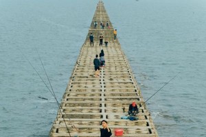 吸引游客的吉海防波堤。