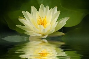 （示意图：互联网）