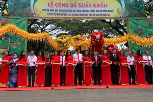 同奈向中国出口360吨榴莲 