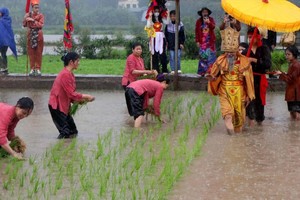 2023年2月5日，富寿省越池市明农坊籍田礼的雄王教百姓种稻节，缅怀历代雄王建国卫国功业和表达感恩之情。