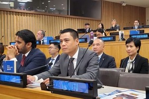 越南驻联合国代表团团长邓黄江大使出席会议。（图：越通社）