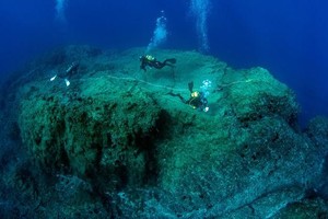 一组科学潜水夫在葡萄牙马德拉港圣港的海底评估海洋生物多样性。（图：联合国）