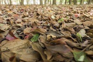 （示意图：互联网）