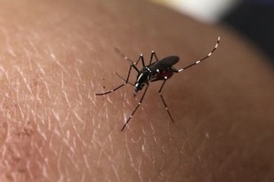 （示意图：互联网）