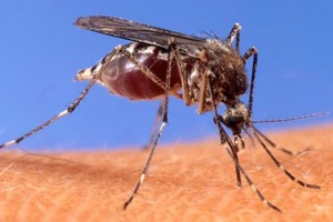 （示意图：互联网）