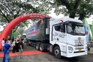 同奈省向中国市场出口20个集装箱榴梿，共有360吨，是Dona及Ri6品种。