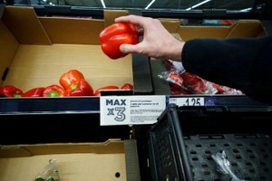 这是2月23日在英国曼彻斯特一家超市拍摄的蔬菜货架上的限购通知。按照通知，每名顾客一次只能最多购买3个彩椒。（图：新华社）