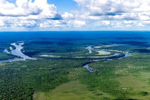 2022年巴西原始森林损失增加15%，在世界上失去最多森林的国家中名列前茅。（图：AP）