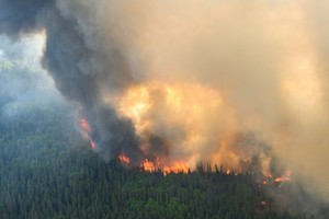 加拿大山火至今已焚毁的面积已超过1950万英亩(约8万平方公里)，打破纪录。（图：互联网）