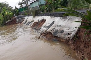 隆安与安江省河畔发生坍塌