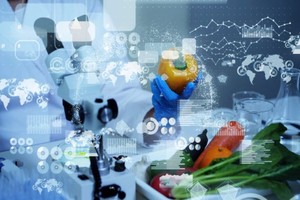 辅助食品企业数字化转型。（示意图：互联网）