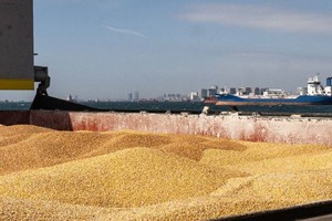 联合协调中心的检查组在根据 “黑海粮食倡议”开展工作。（图：联合国）