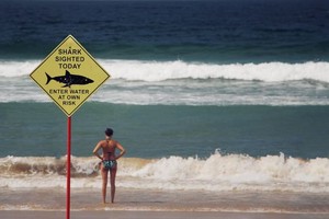 鲨鱼警示牌。（图：Piqsels）