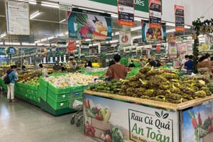 优惠信贷计划有助促进经济增长。（图：海燕）