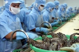 虾只经加工后出口到世界各地市场。