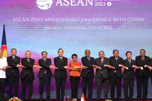 越南外长裴青山(左四)与东盟-中国外长会议与会代表合影。（图：越通社）