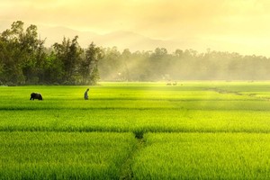 （示意图：互联网）