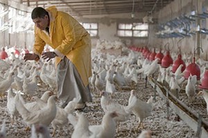 （示意图：互联网）