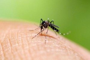 （示意图：互联网）