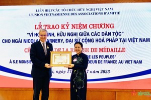 法驻越大使获颁赠纪念章