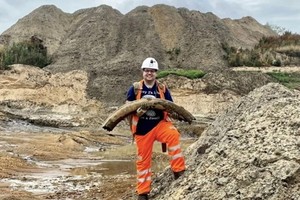 佐敦发现完整的猛犸象牙。（图：互联网）