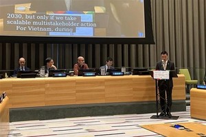 越南常驻联合国代表团团长邓黄江大使在辩论会上发表讲话。（图：越通社）