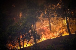 这是7月22日在希腊罗德岛上拍摄的野火。（图：新华社）