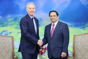 促进越英关系深化发展