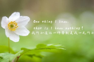 （示意图：互联网）