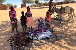 苏丹持续的危机引发的严重粮食不安全将在未来几个月升级。（图：联合国）