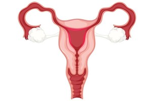 应如何预防早期宫颈癌症状？