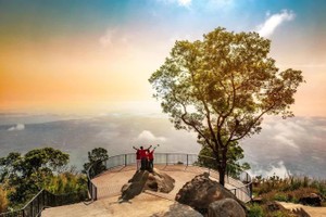 （示意图：互联网）